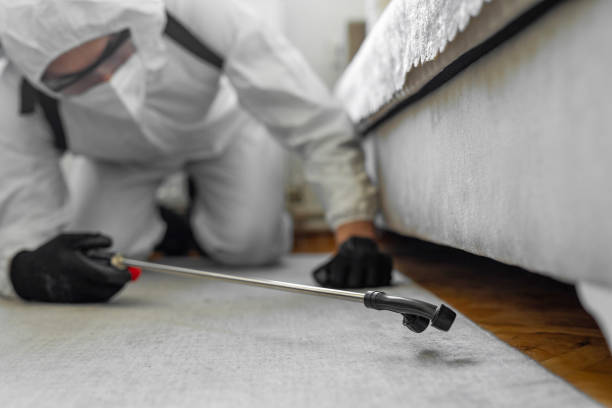 Professional Bed Bug Control technician working in Hillsborough County County, FL
